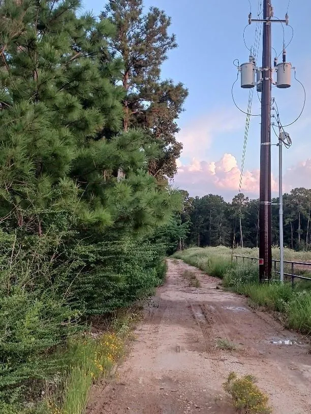 24140 Grand Pines Road Magnolia, TX 77355