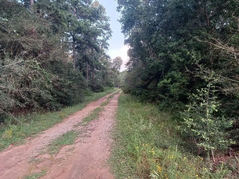 24140 Grand Pines Road Magnolia, TX 77355