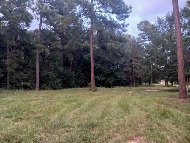 24140 Grand Pines Road Magnolia, TX 77355