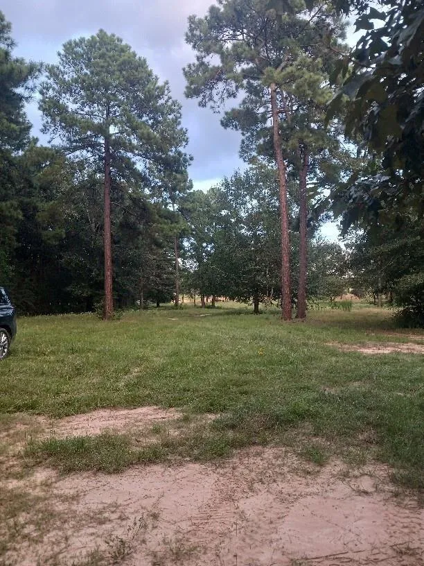 24140 Grand Pines Road Magnolia, TX 77355