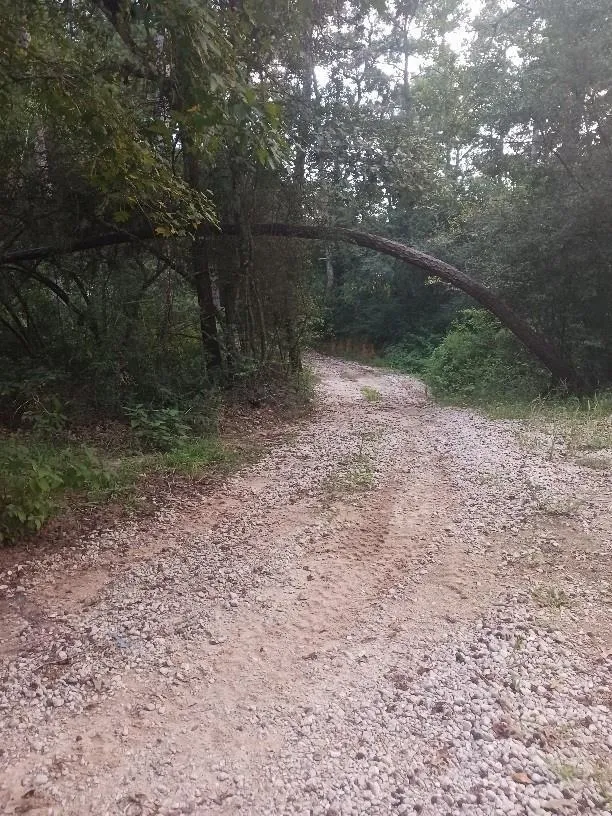 24140 Grand Pines Road Magnolia, TX 77355
