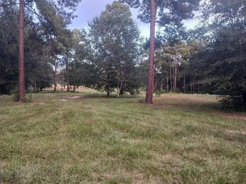 24140 Grand Pines Road Magnolia, TX 77355