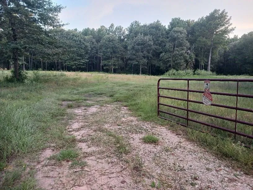 24140 Grand Pines Road Magnolia, TX 77355