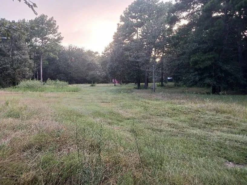 24140 Grand Pines Road Magnolia, TX 77355