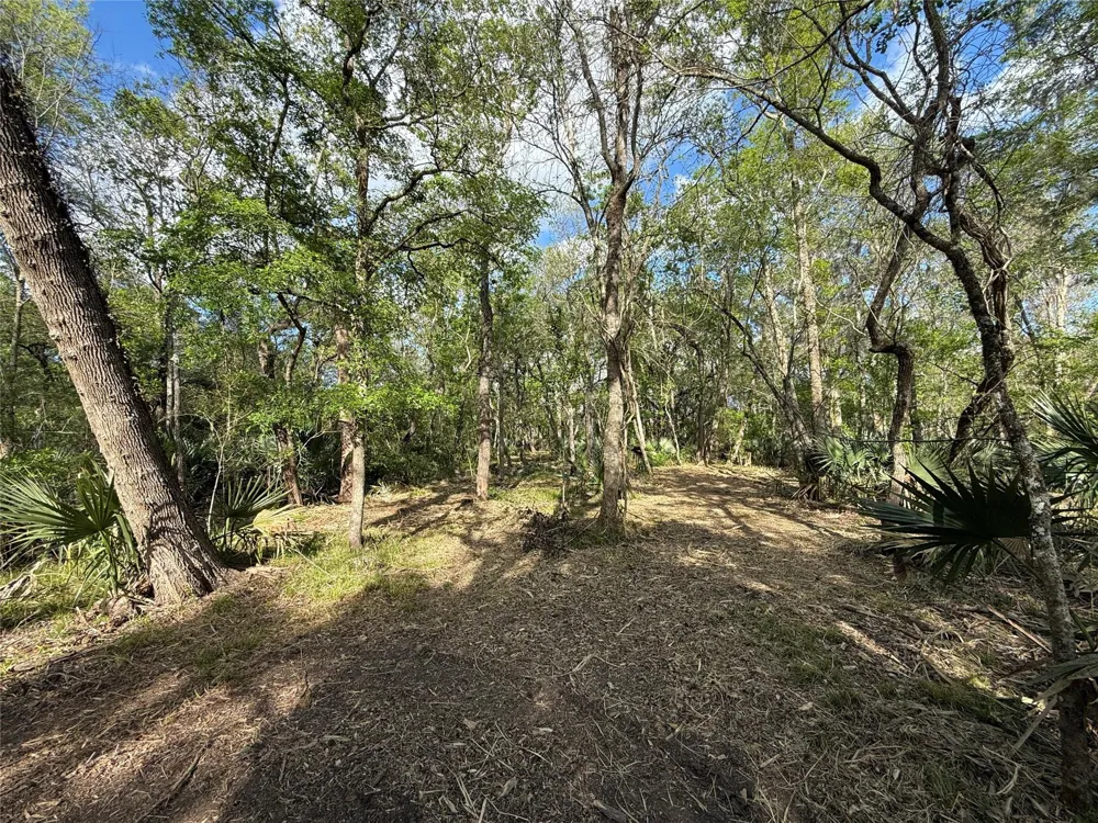 2 County Road 332 Sweeny, TX 77480