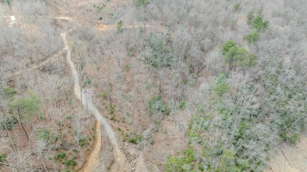 Bailey Fields Robbinsville, NC 28771