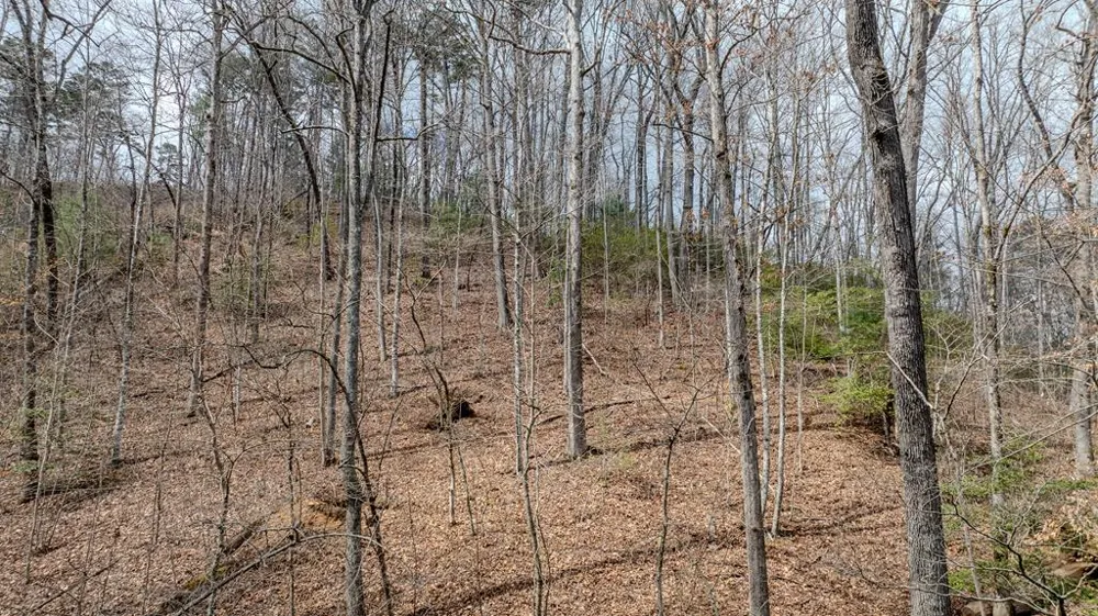 Bailey Fields Robbinsville, NC 28771