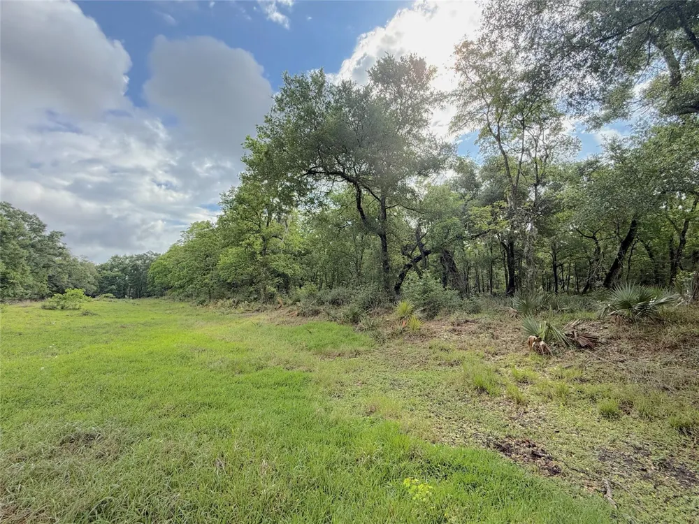 3 County Road 332 Sweeny, TX 77480