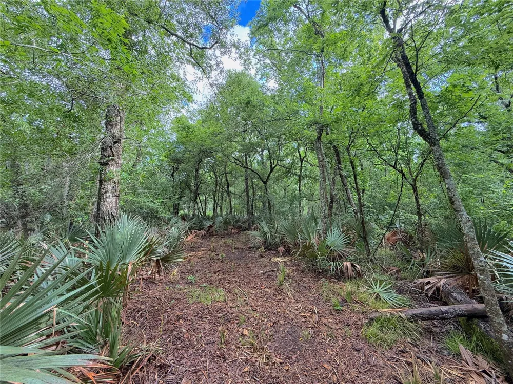 3 County Road 332 Sweeny, TX 77480