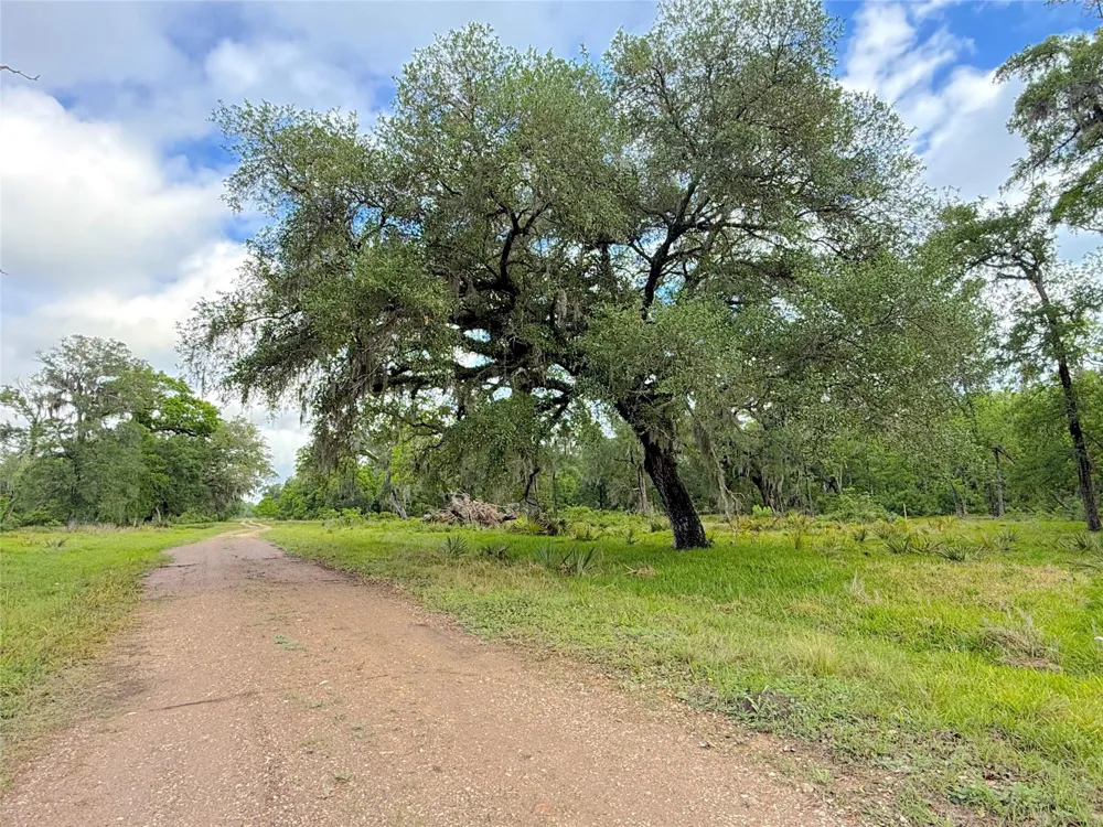 3 County Road 332 Sweeny, TX 77480