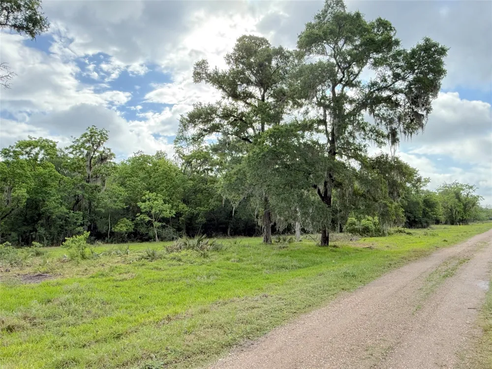 3 County Road 332 Sweeny, TX 77480