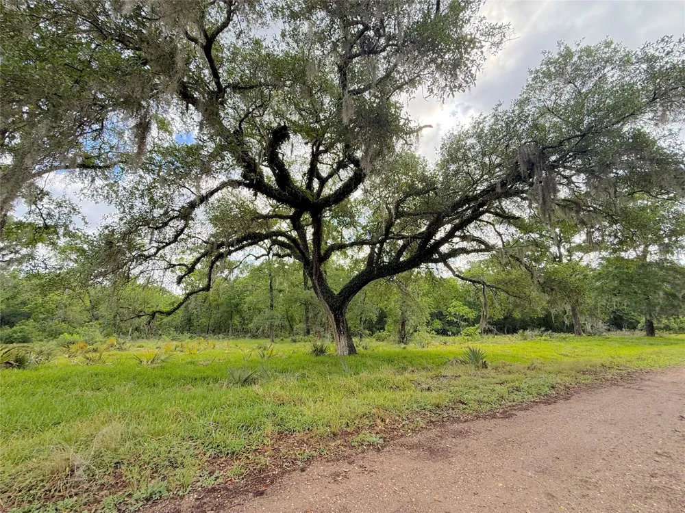 3 County Road 332 Sweeny, TX 77480