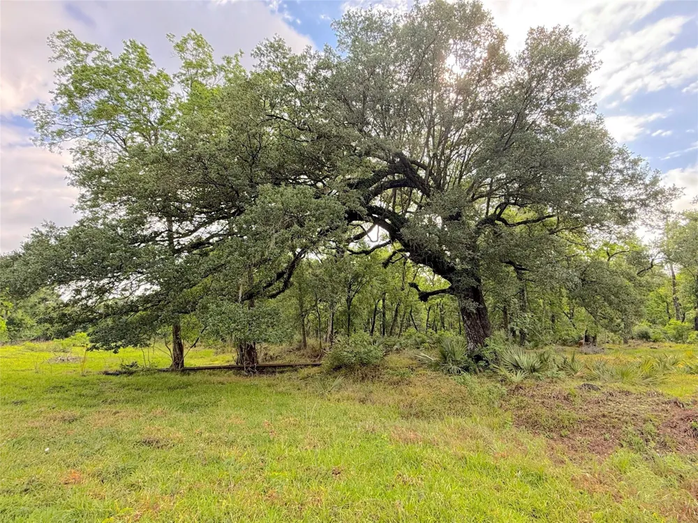 3 County Road 332 Sweeny, TX 77480