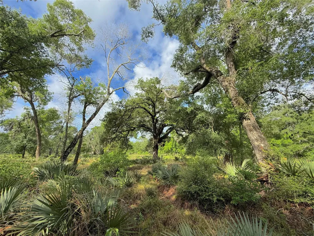 3 County Road 332 Sweeny, TX 77480