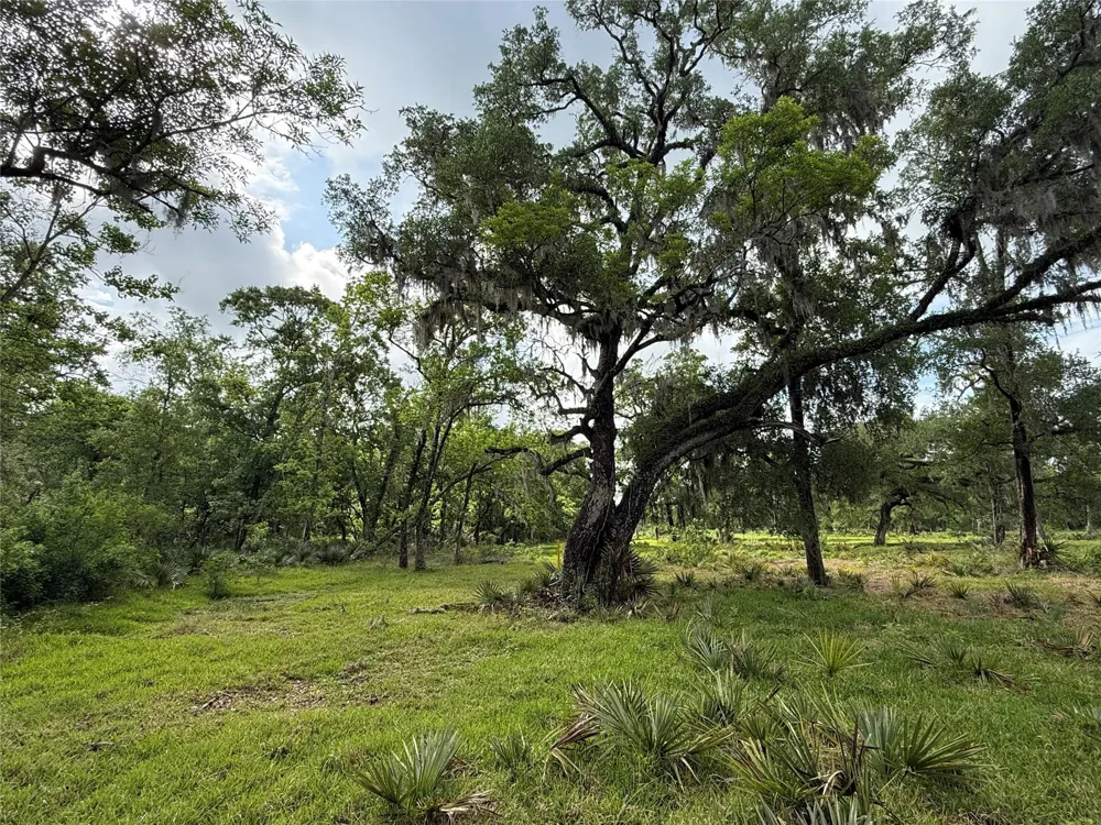 3 County Road 332 Sweeny, TX 77480