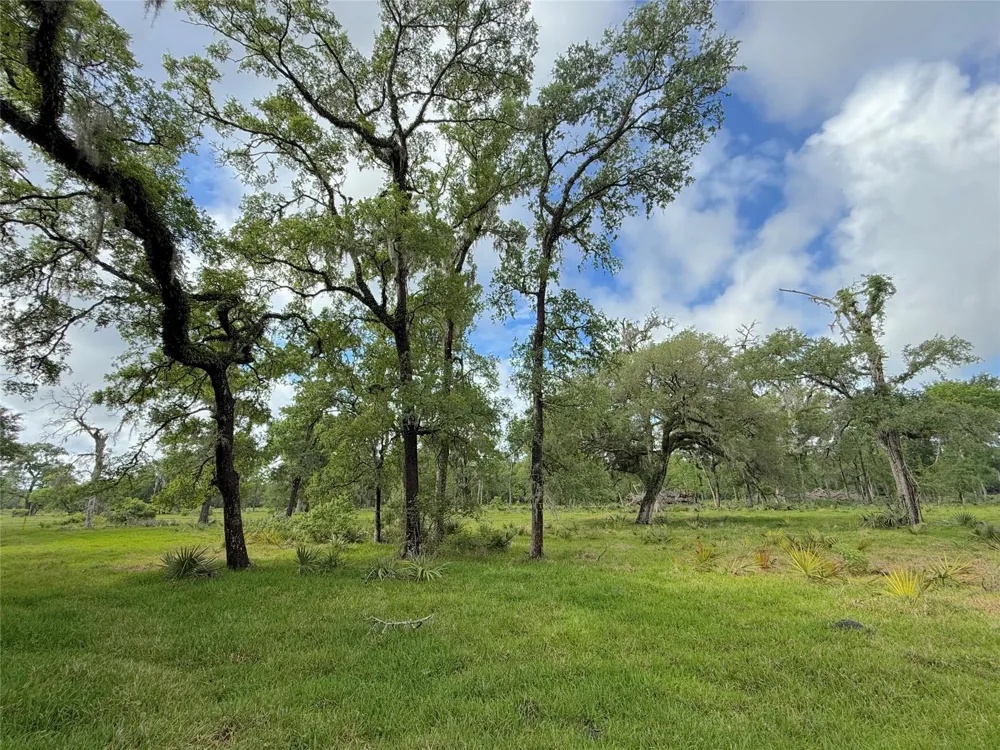 3 County Road 332 Sweeny, TX 77480