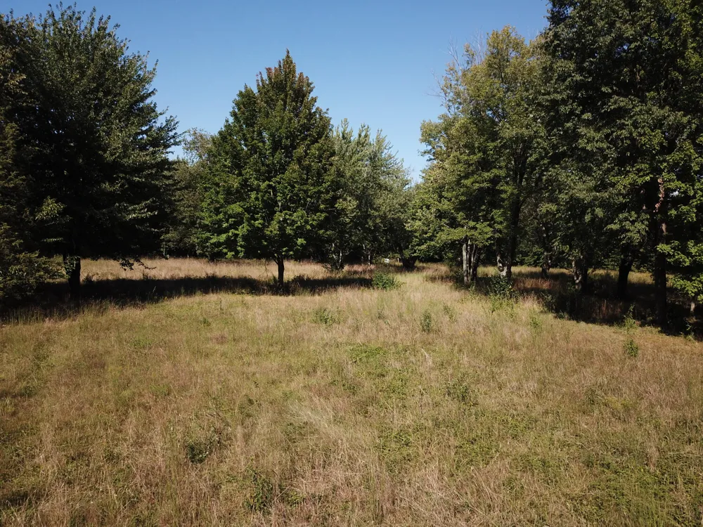 1853 W John Beers Road Stevensville, MI 49127