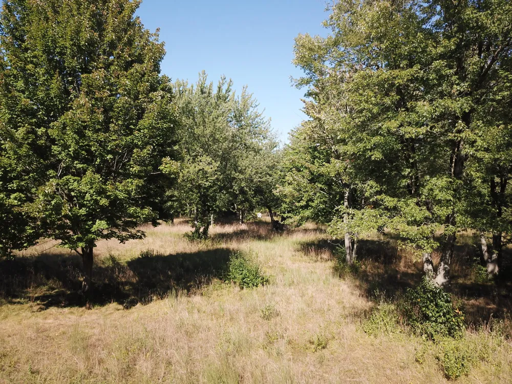 1853 W John Beers Road Stevensville, MI 49127