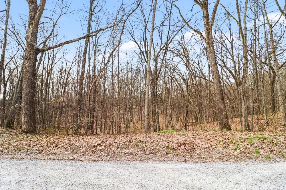 6920 19 Mile Road NE Cedar Springs, MI 49319
