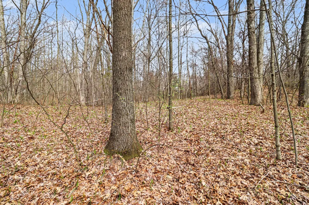 6920 19 Mile Road NE Cedar Springs, MI 49319