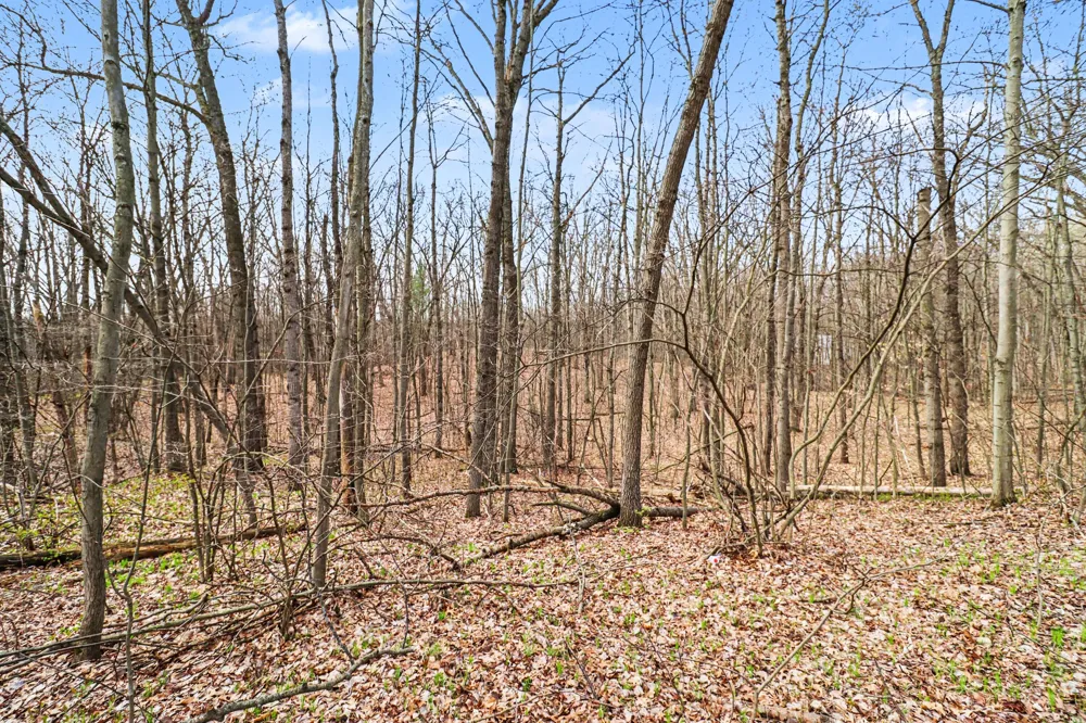 6920 19 Mile Road NE Cedar Springs, MI 49319