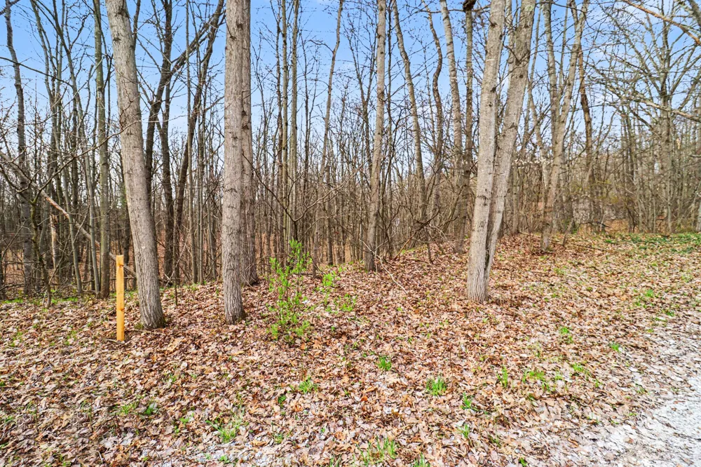 6920 19 Mile Road NE Cedar Springs, MI 49319