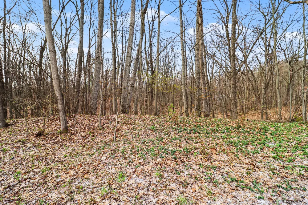 6920 19 Mile Road NE Cedar Springs, MI 49319
