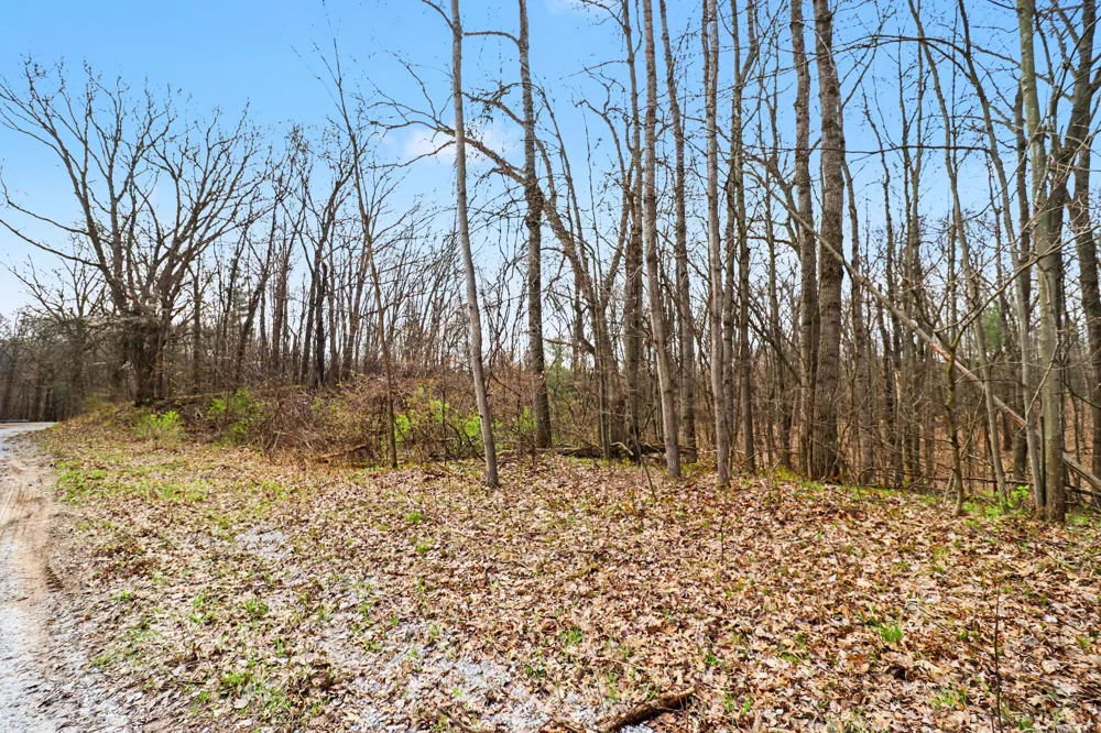 6940 19 Mile Road NE Cedar Springs, MI 49319