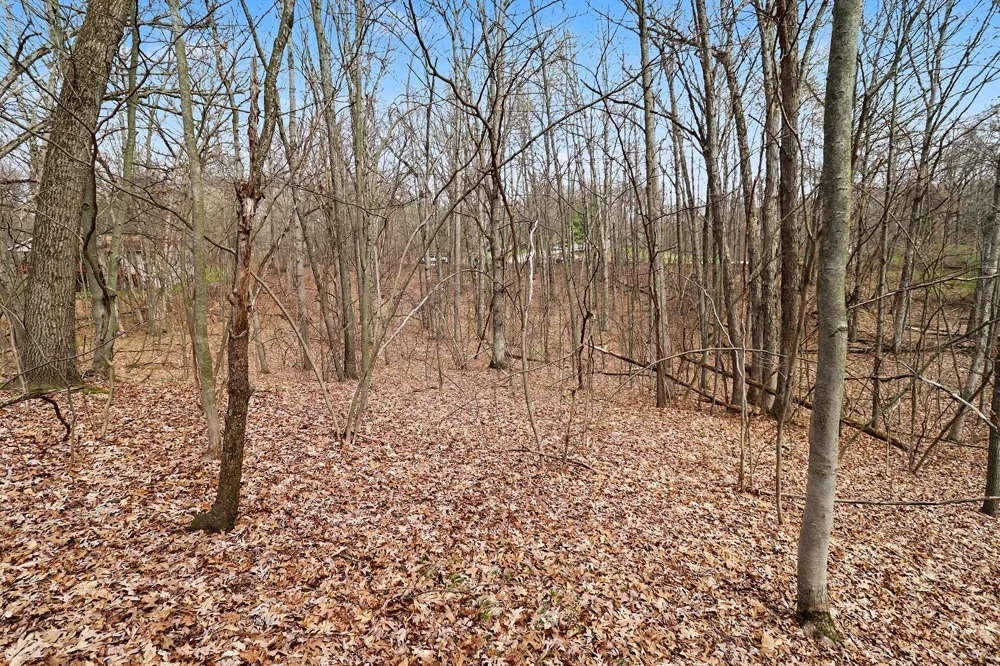 6940 19 Mile Road NE Cedar Springs, MI 49319