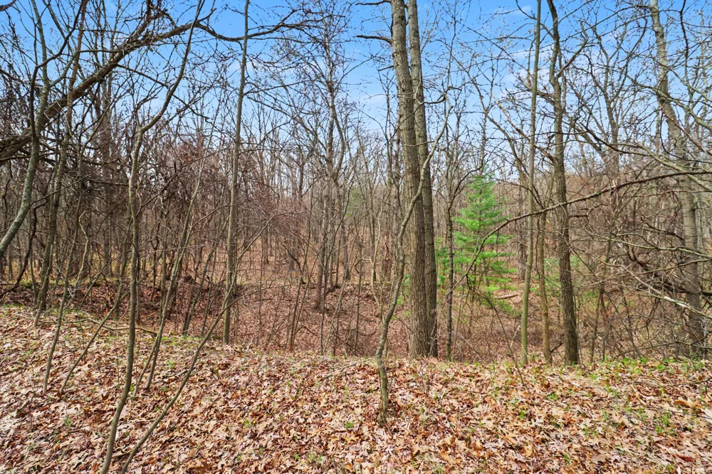 6940 19 Mile Road NE Cedar Springs, MI 49319