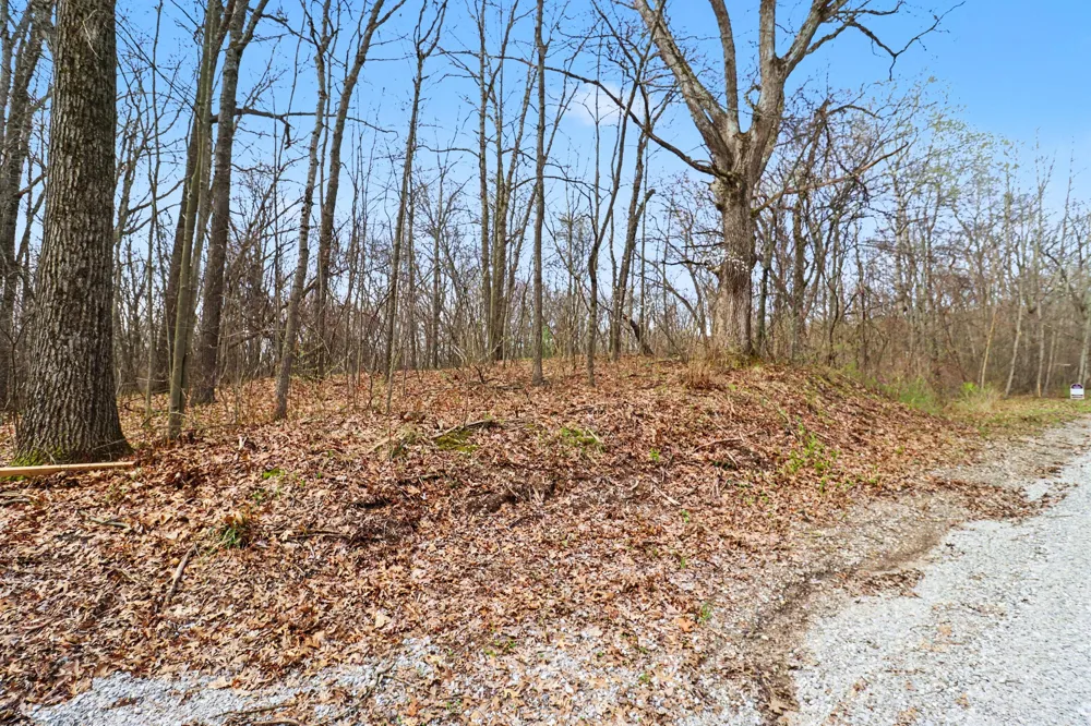 6940 19 Mile Road NE Cedar Springs, MI 49319