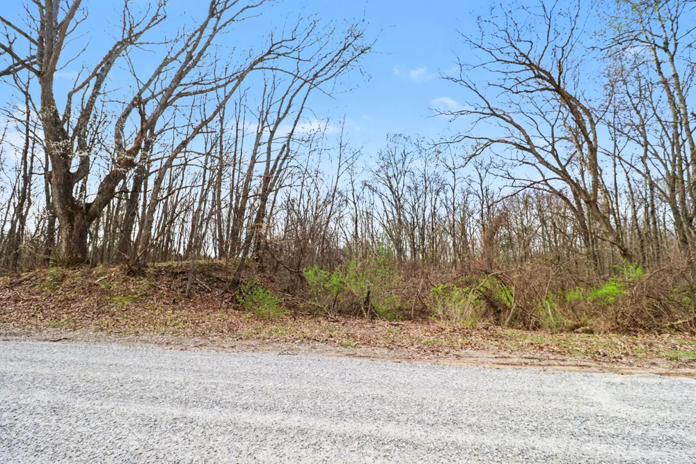 6940 19 Mile Road NE Cedar Springs, MI 49319