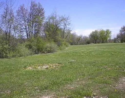 262 Canfield Street Milan, MI 48160