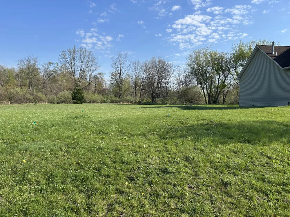 262 Canfield Street Milan, MI 48160