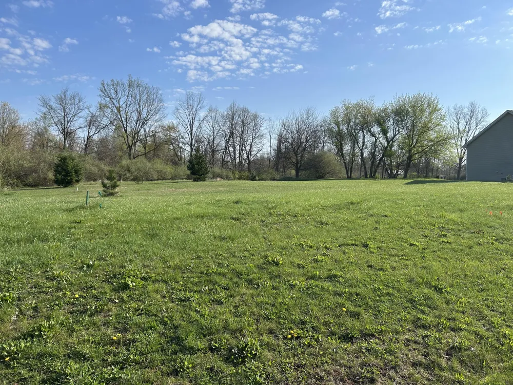 262 Canfield Street Milan, MI 48160