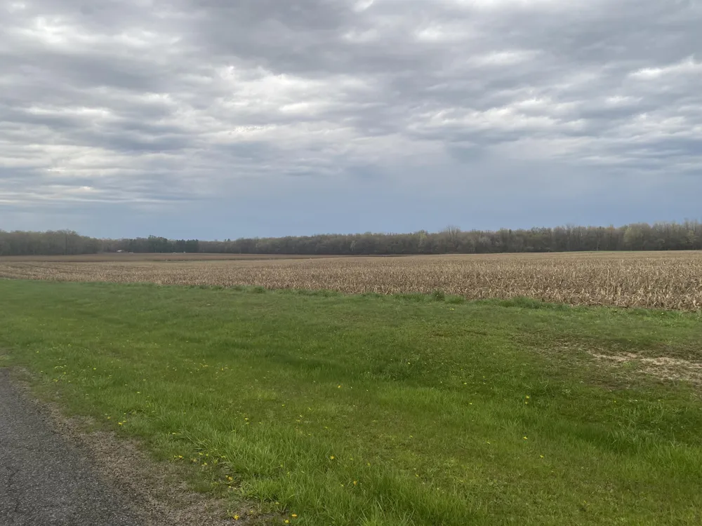 S 16th Avenue Grand Junction, MI 49056