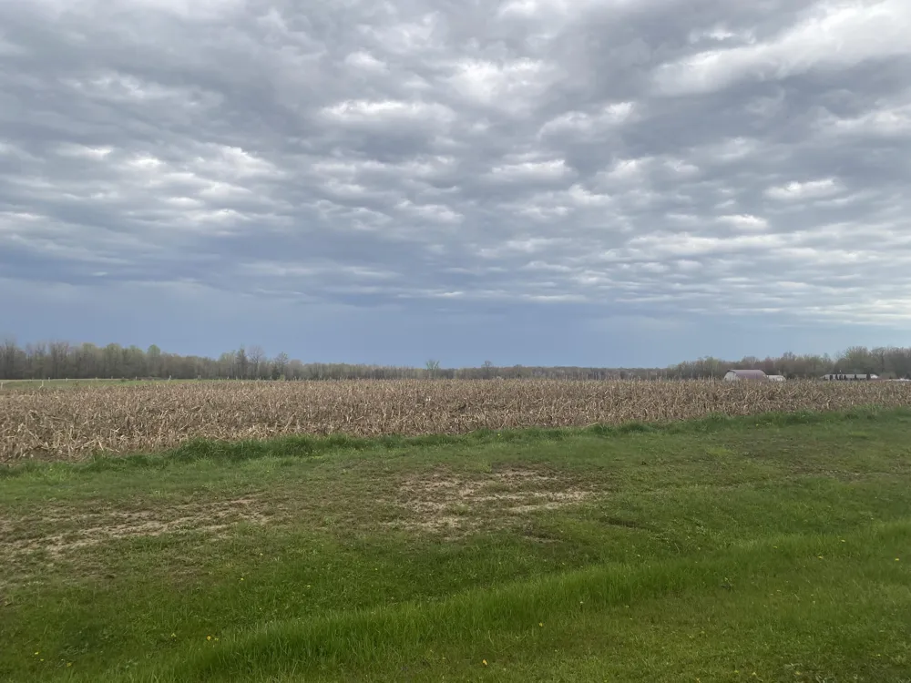 S 16th Avenue Grand Junction, MI 49056