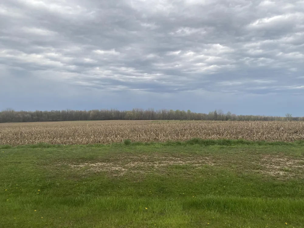 S 16th Avenue Grand Junction, MI 49056