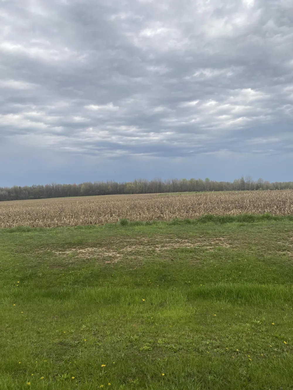 S 16th Avenue Grand Junction, MI 49056