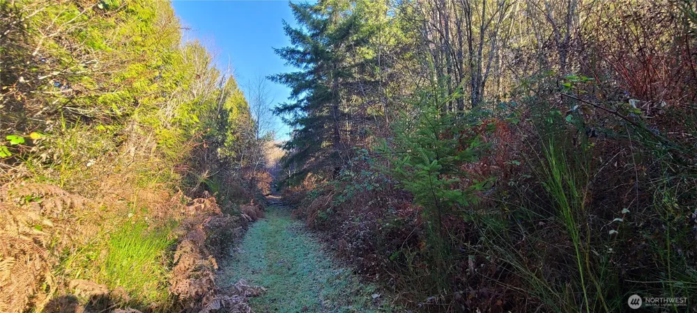 0 Cornwall Road NW Lakebay, WA 98349