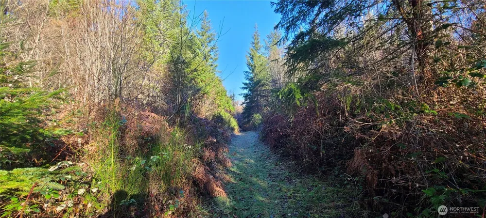 0 Cornwall Road NW Lakebay, WA 98349