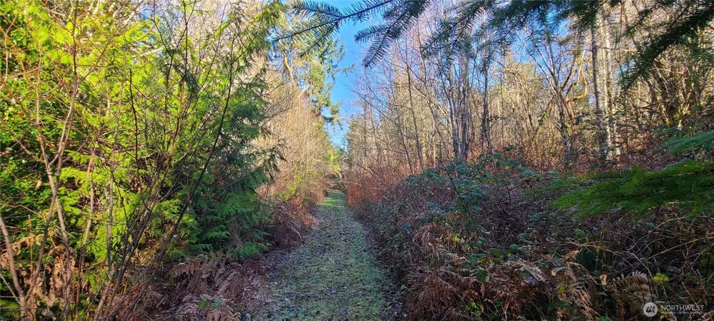0 Cornwall Road NW Lakebay, WA 98349