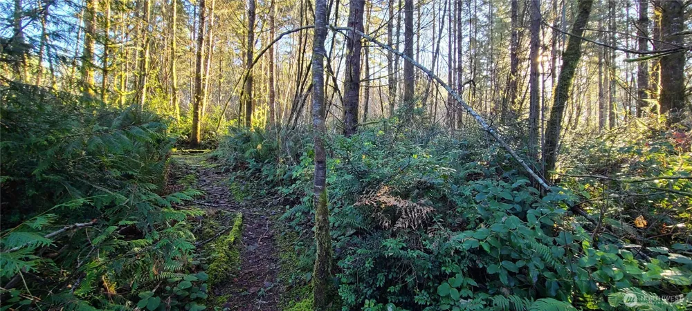 0 Cornwall Road NW Lakebay, WA 98349
