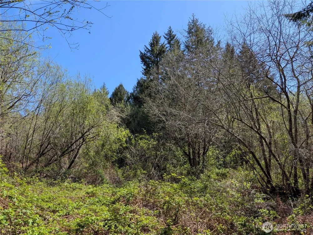 0 Cornwall Road NW Lakebay, WA 98349