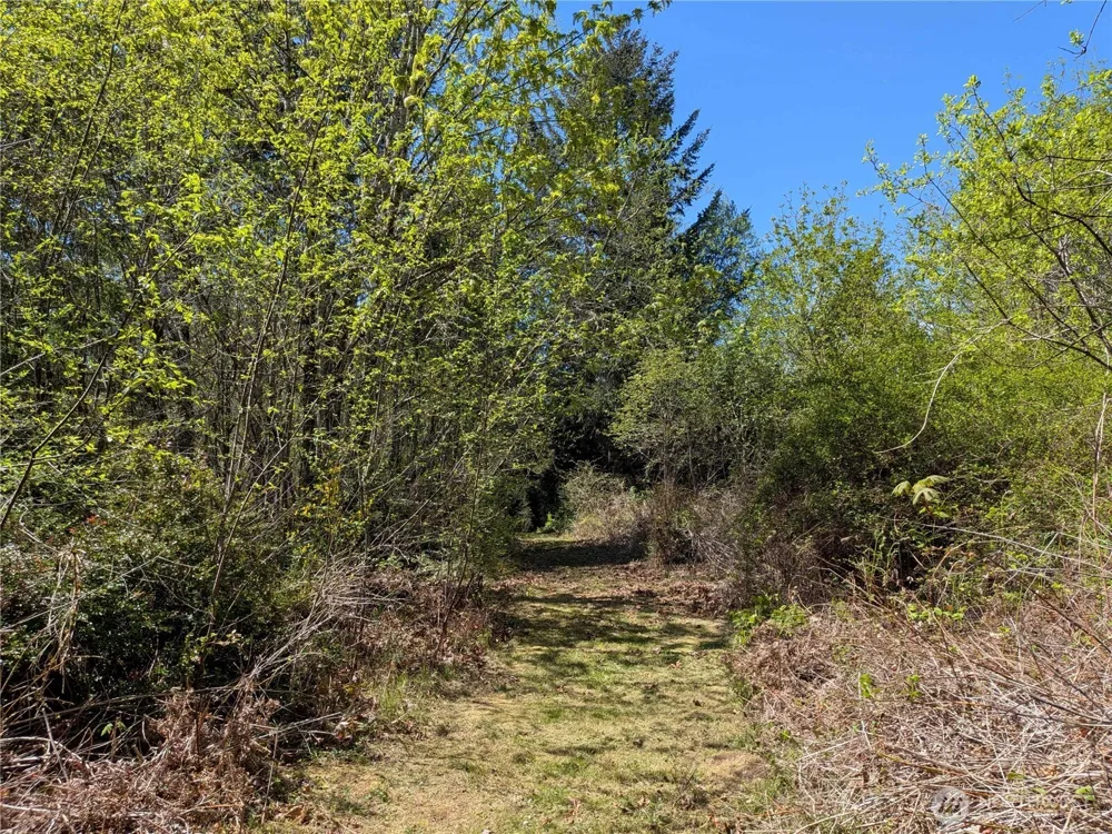 0 Cornwall Road NW Lakebay, WA 98349