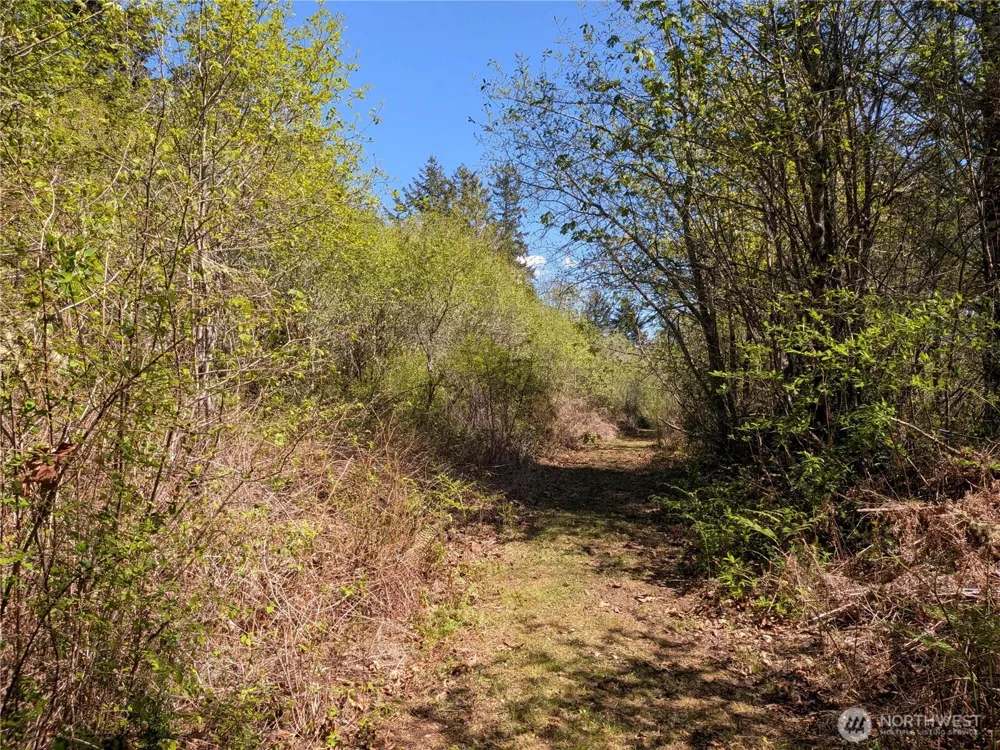 0 Cornwall Road NW Lakebay, WA 98349