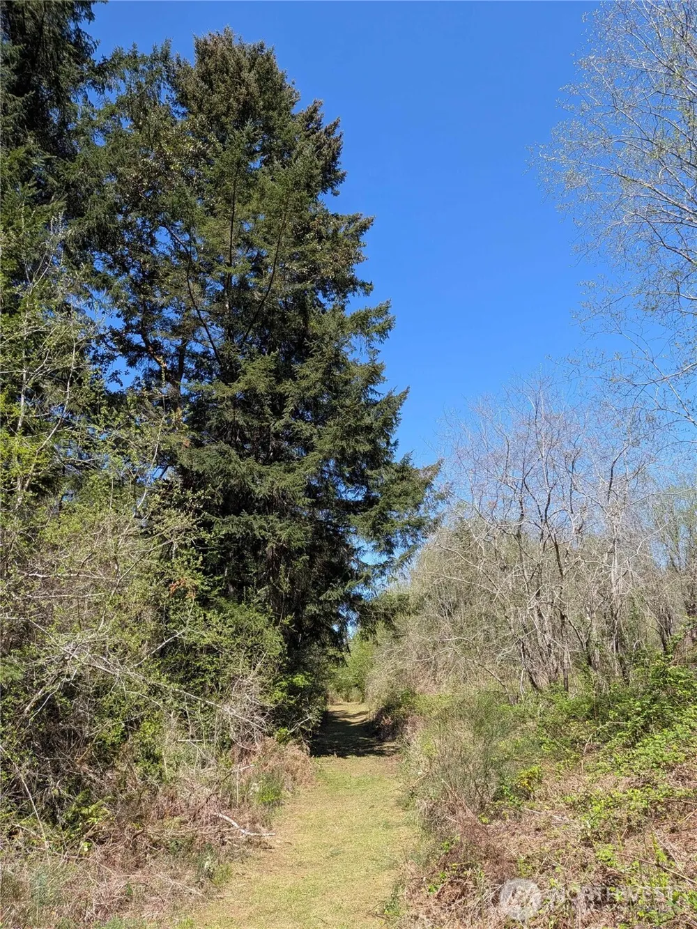 0 Cornwall Road NW Lakebay, WA 98349