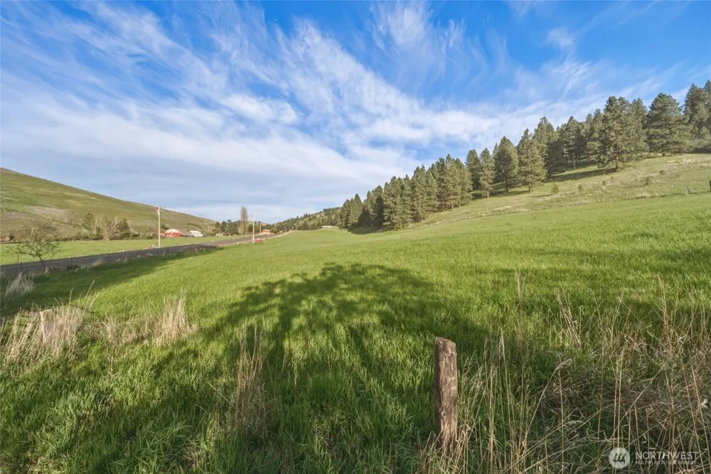 938 Patit Road Dayton, WA 99328
