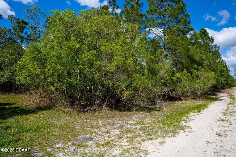 3770 Balsam Court Ormond Beach, FL 32174