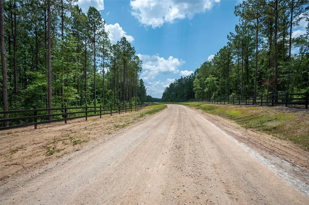 10 Timberland Branch Drive Woodville, TX 75979